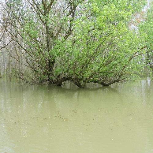 Photo #6219249