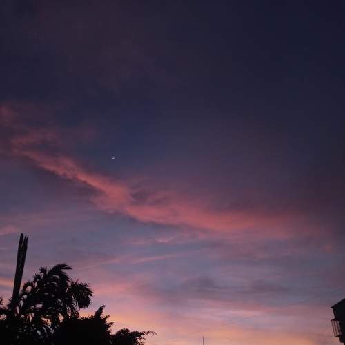 Photo #6219570