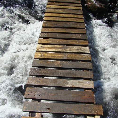 Photo #6219604