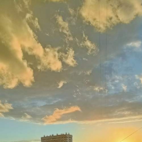 Photo #6219795