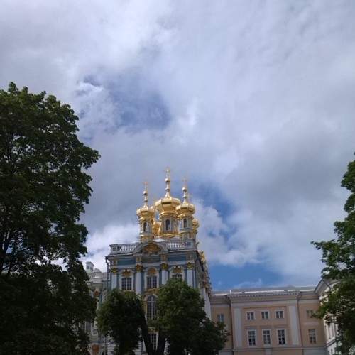 Photo #6219803