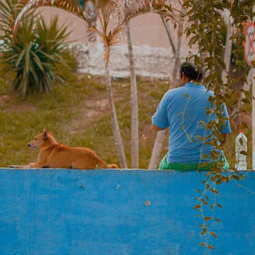 Photo #6220043