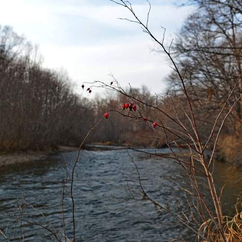 Photo #6220085