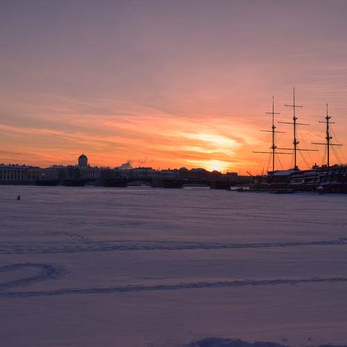 Photo #6220280