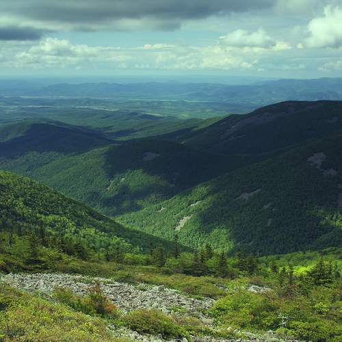 Photo #6220897