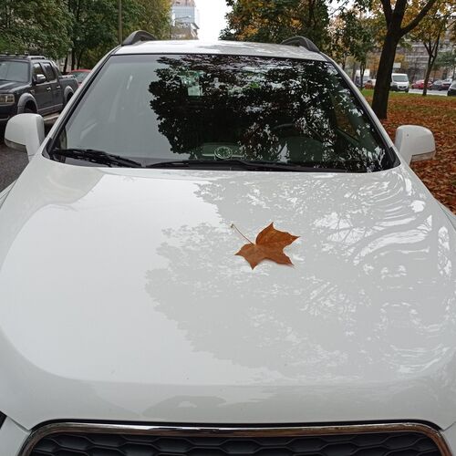 Photo #6220904