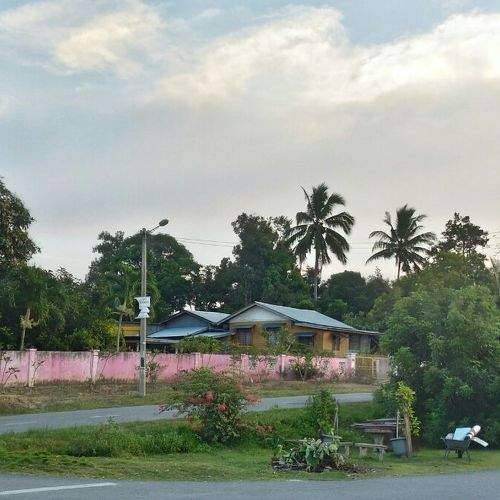 Photo #6221054