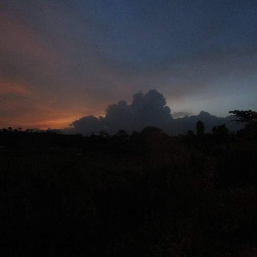 Photo #6221076