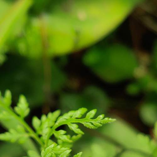 Photo #6221131