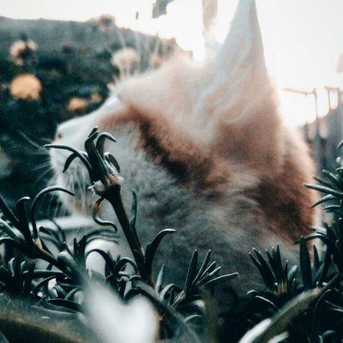 Photo #6221212