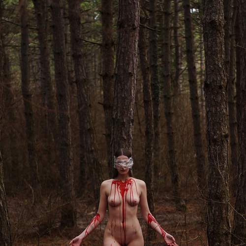 Photo #6221232