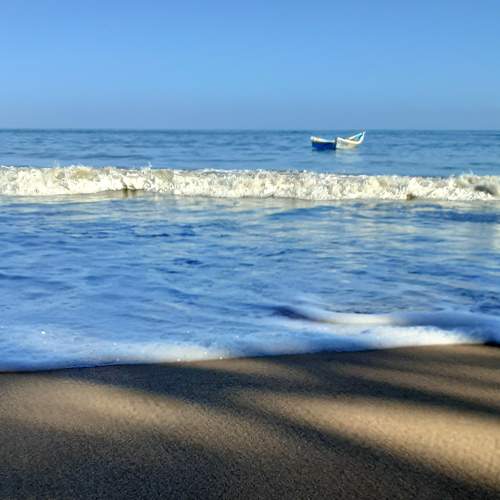 Photo #6221336