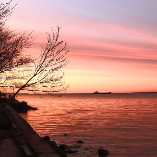 Estonian sunset