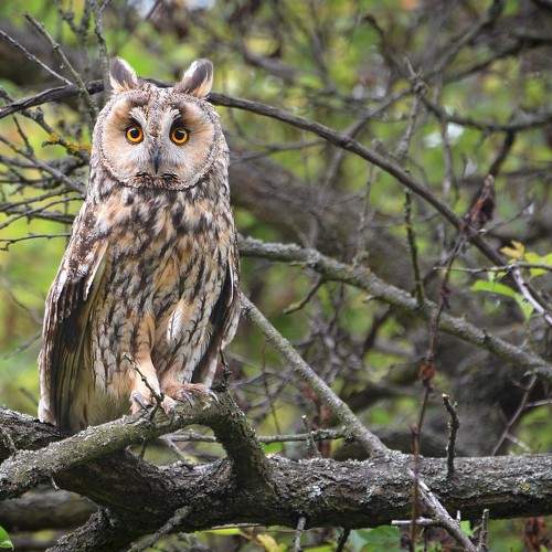 Photo #6221581