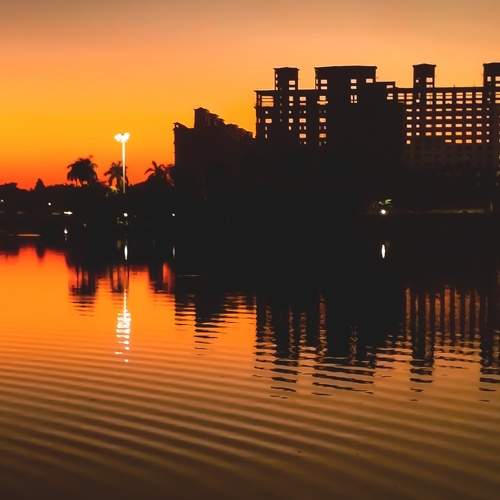 Photo #6221587