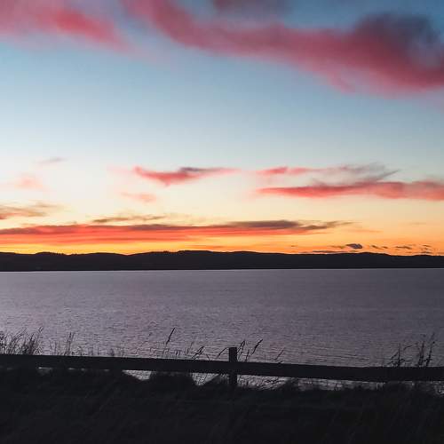 Photo #6221618