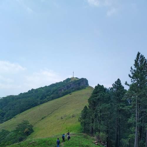 Photo #6221673
