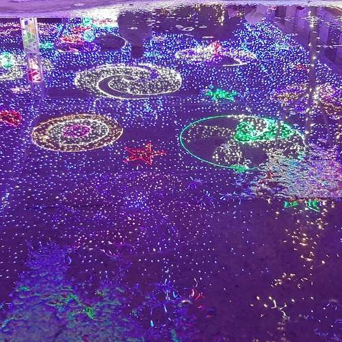 Photo #6221738