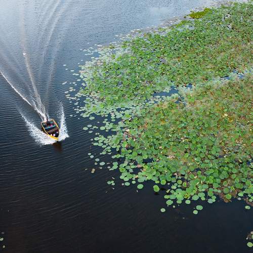 Photo #6221894