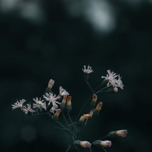 Photo #6221993