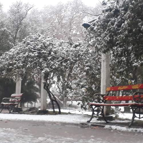 Solo nieve