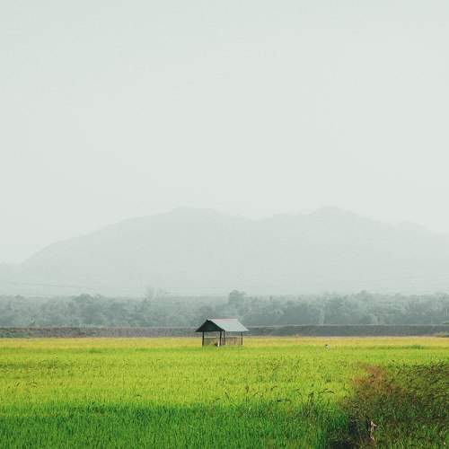 Kedah Darul Aman