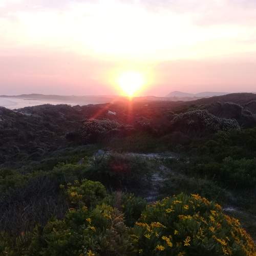 Photo #6222352