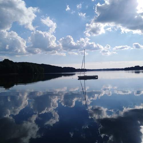 Photo #6222416
