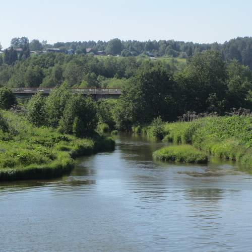 Photo #6222577