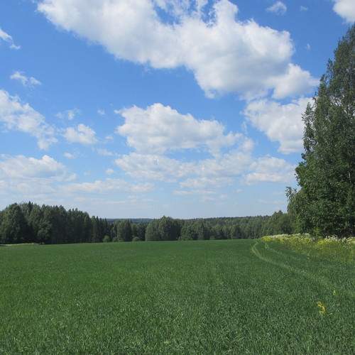 Photo #6222613
