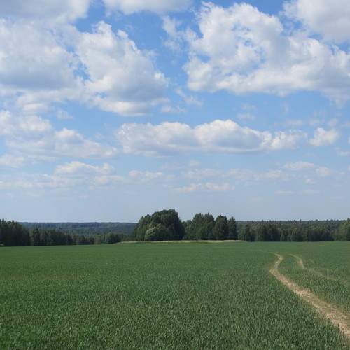 Photo #6222617