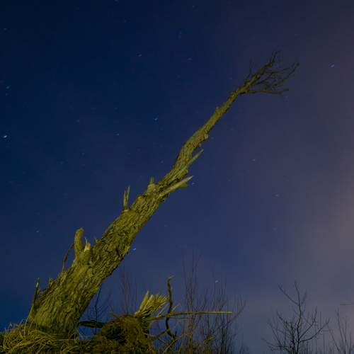 Photo #6222654