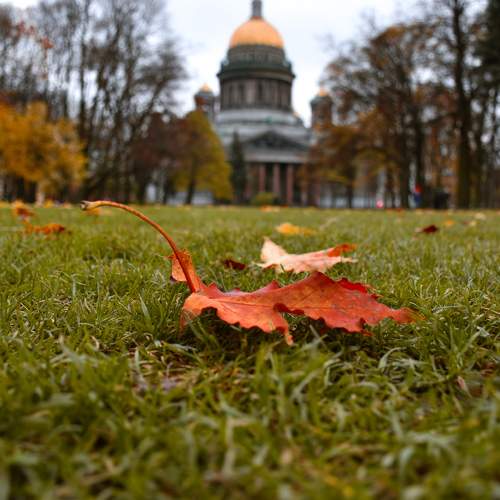 Photo #6222719