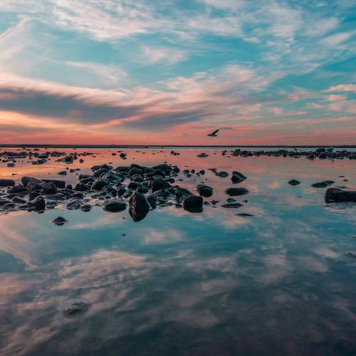 Photo #6222857