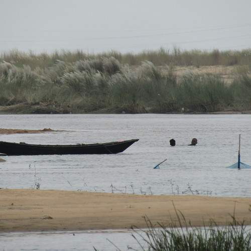 Photo #6222951