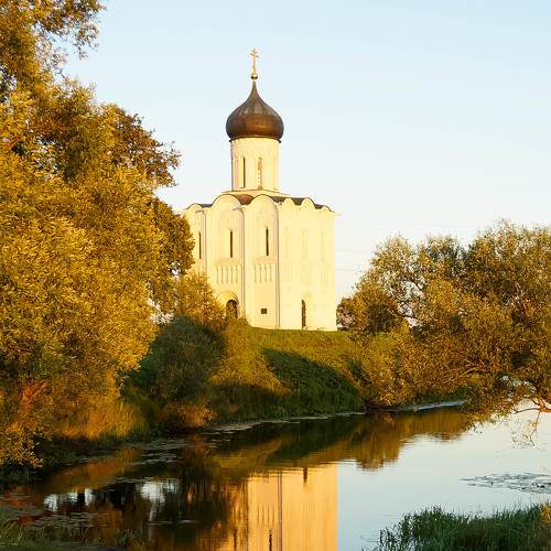 Photo #6223083