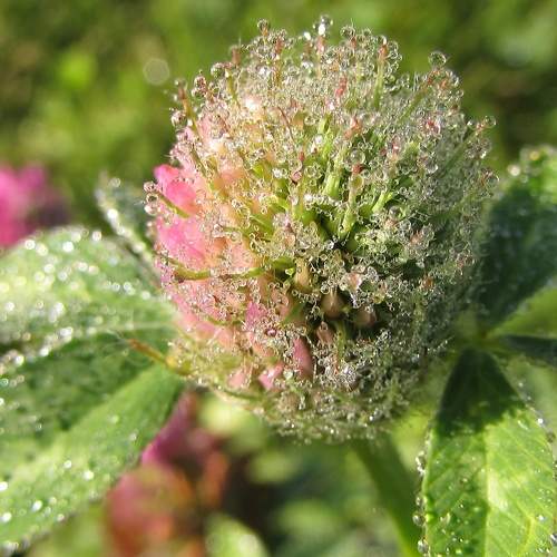 Photo #6223174