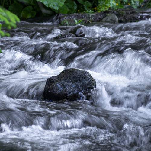 Photo #6223266