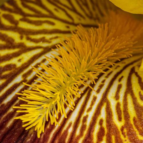 Photo #6223333