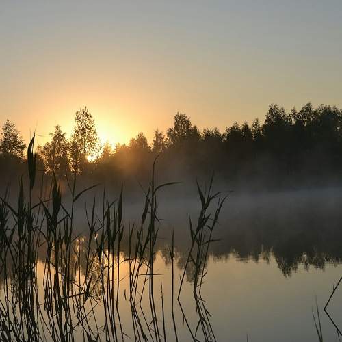 Photo #6223383