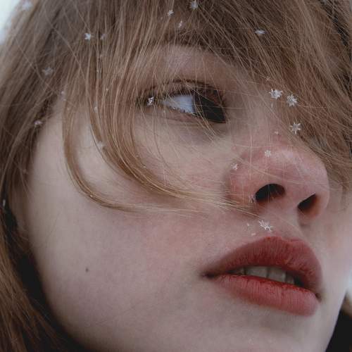 Photo #6223596