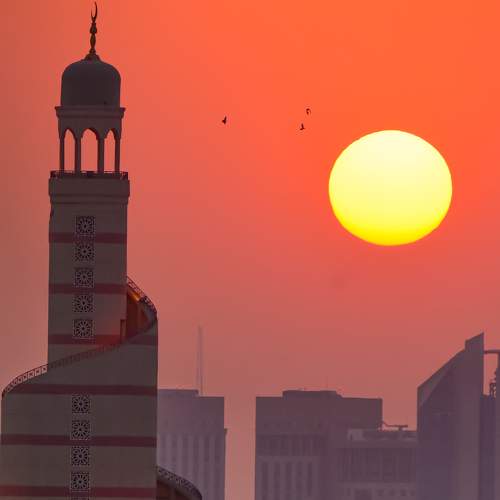 Photo #6223668