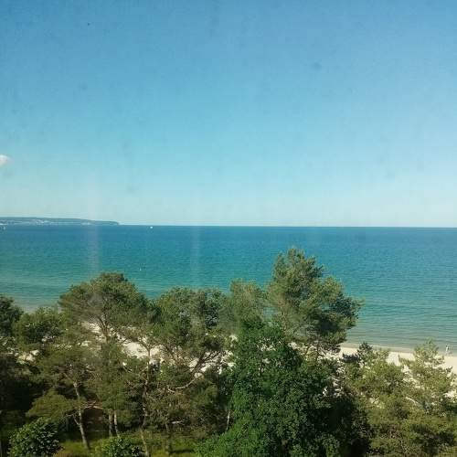 Photo #6223858