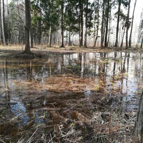 Photo #6223880