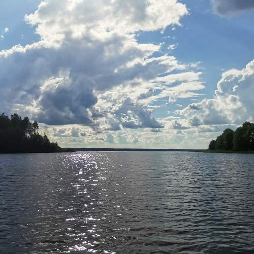 Photo #6223884