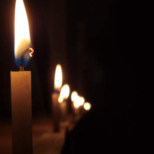 Photo #6224185