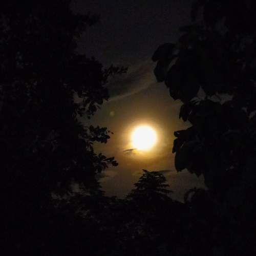 Photo #6224207