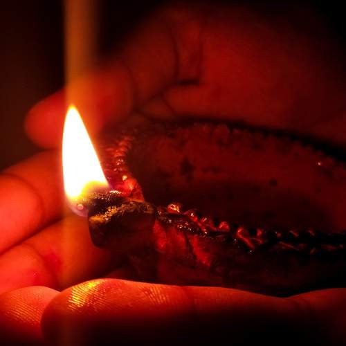 Photo #6224208