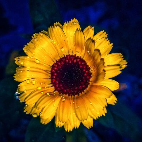 Photo #6224486