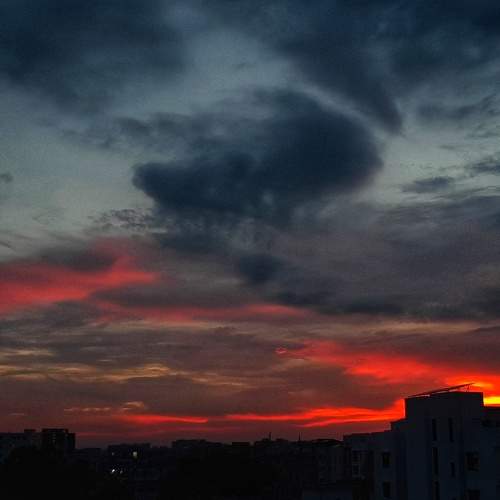 Photo #6224541